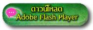 flash player